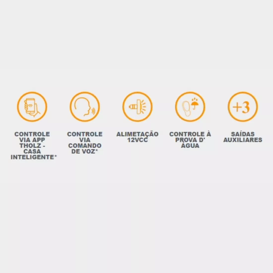 D_NQ_NP_2X_800589-MLU73697304179_122023-F